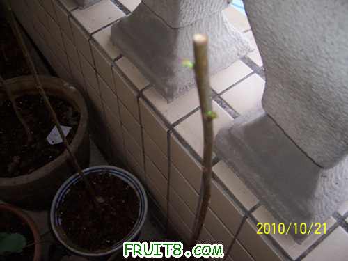 100_2329.jpg