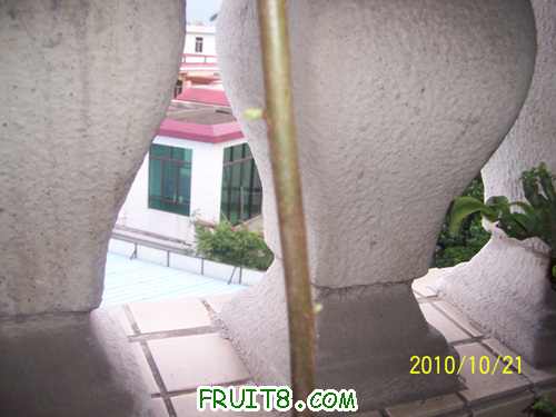 100_2324.jpg