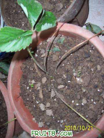 100_2328.jpg