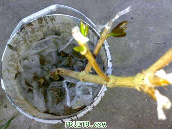 20101021122.jpg