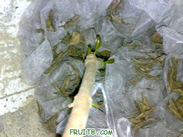 20101021120.jpg