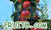 20071212_9c417d09404d17e61b2cJFKXJ3R8jhb9.jpg