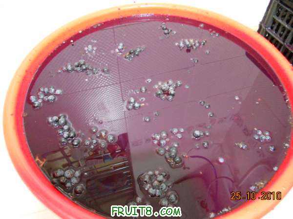 DSCN0640.jpg