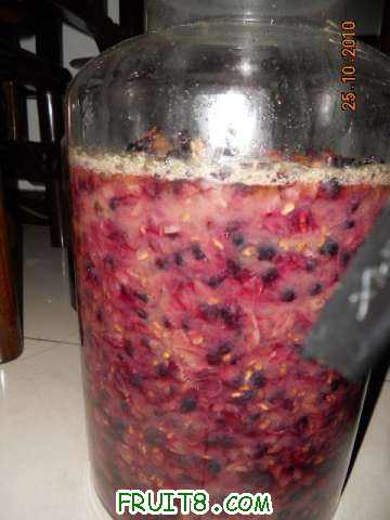 DSCN0645.jpg