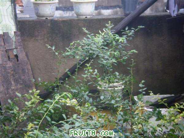 P8040058 (С��).JPG