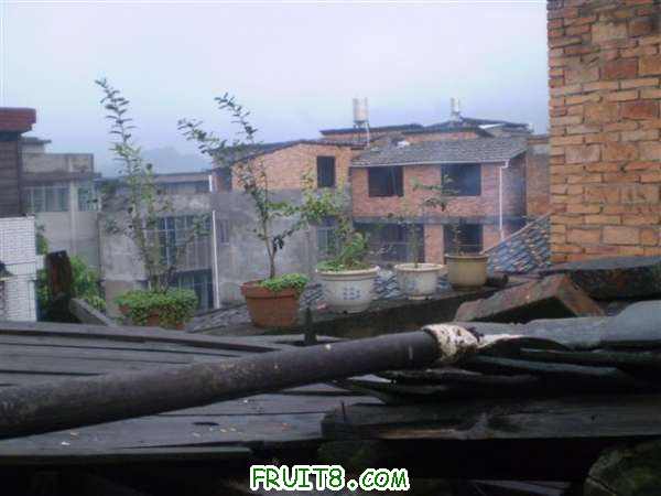 P8040059 (С��).JPG