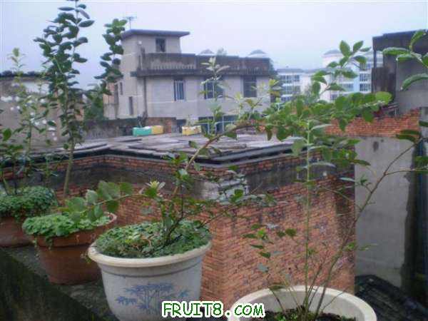 P8040063 (С��).JPG