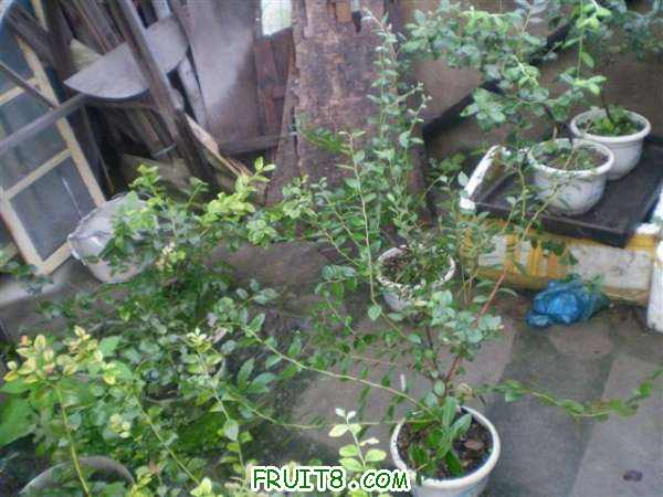 P8040078 (С��).JPG