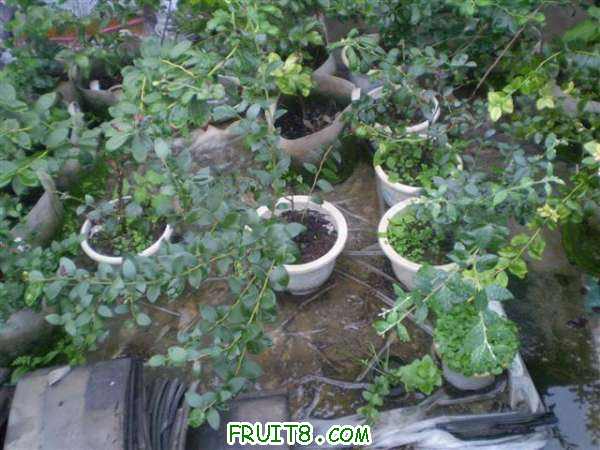 P8040074 (С��).JPG