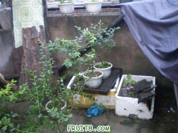 P8040076 (С��).JPG