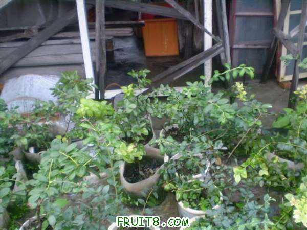 P8040075 (С��).JPG