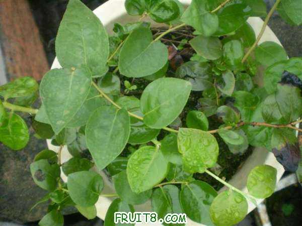 P8040082 (С��).JPG