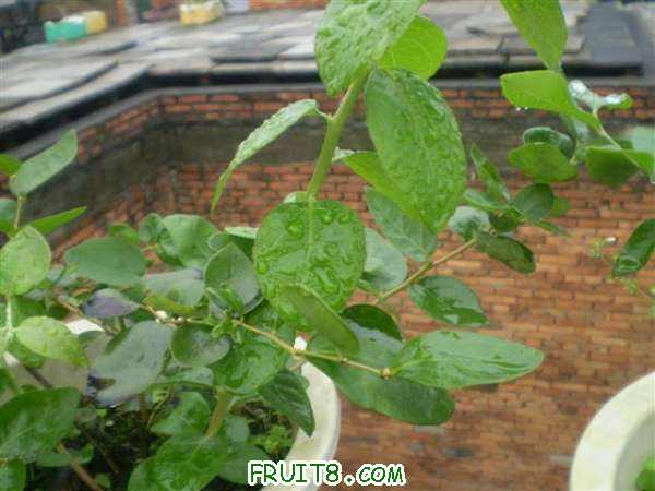 P8040081 (С��).JPG