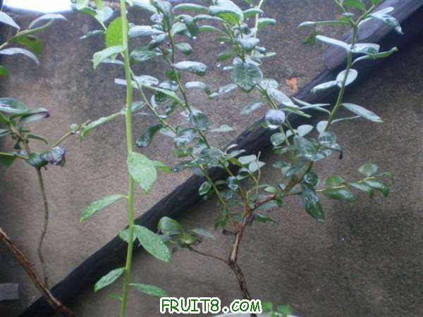 P8040079 (С��).JPG