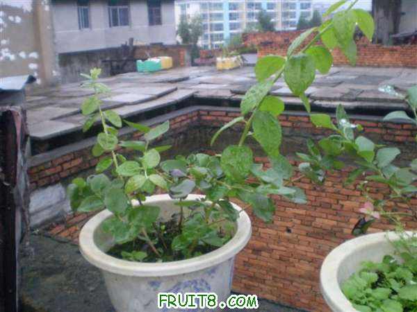 P8040080 (С��).JPG