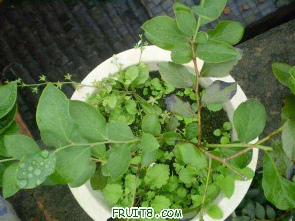 P8040083 (С��).JPG