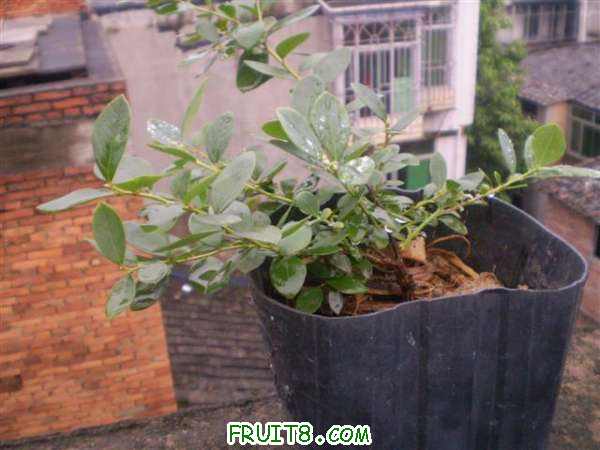 P8040085 (С��).JPG