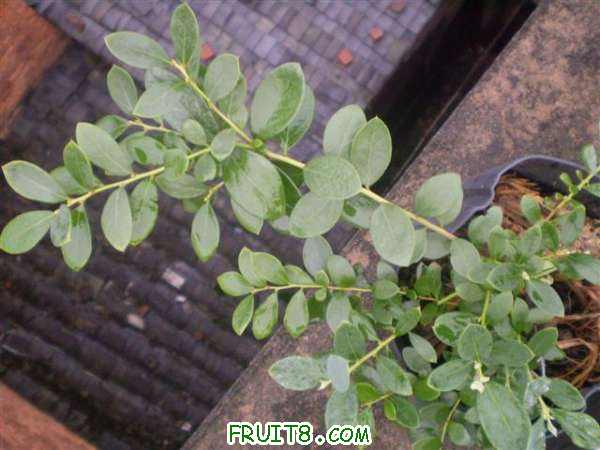 P8040086 (С��).JPG