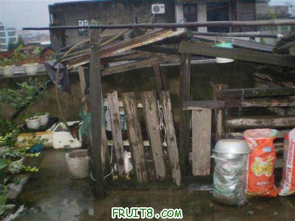 P8040127 (С��).JPG