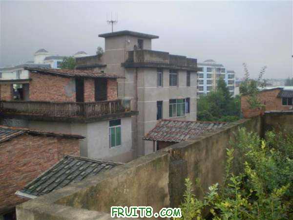 P8040113 (С��).JPG