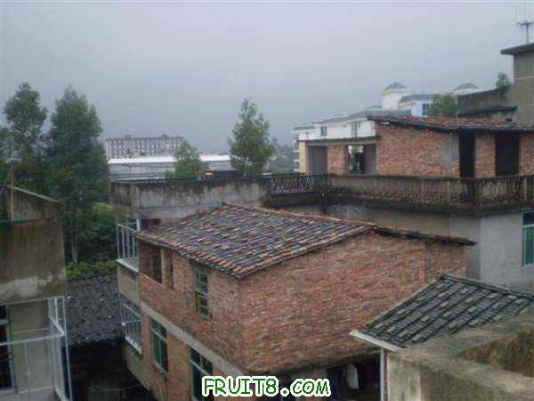 P8040112 (С��).JPG