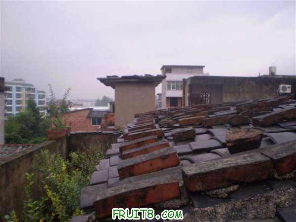 P8040114 (С��).JPG