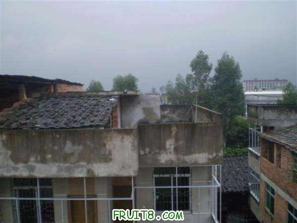 P8040111 (С��).JPG