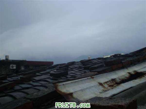 P8040115 (С��).JPG