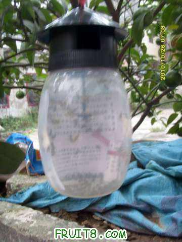 С SI858885.JPG