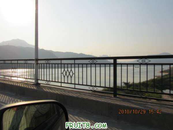 IMG_0465.JPG