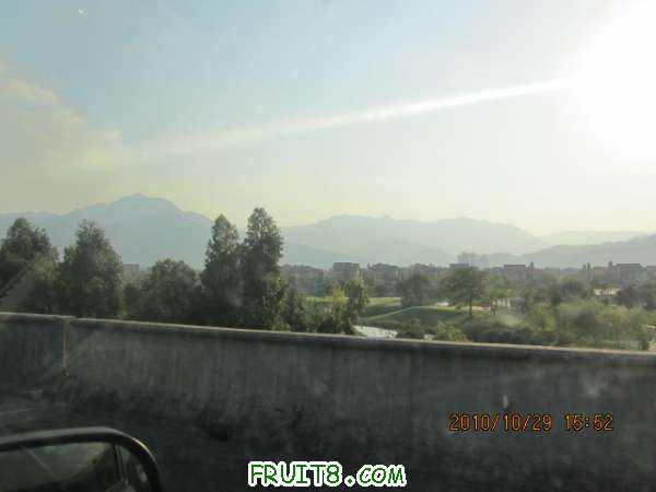 IMG_0484.JPG