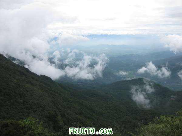Ƭ 019.jpg