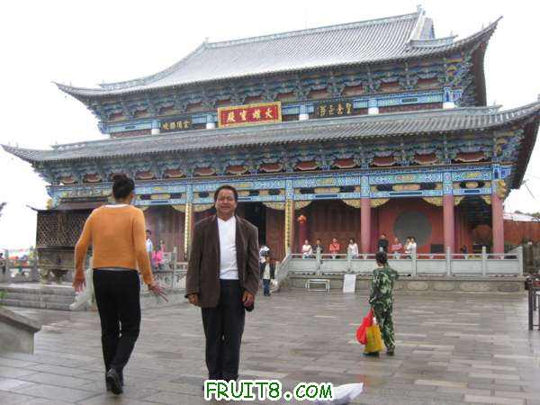Ƭ 046.jpg