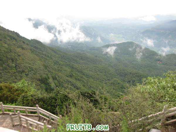 Ƭ 018.jpg