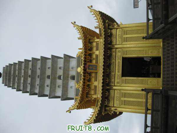 Ƭ 037.jpg