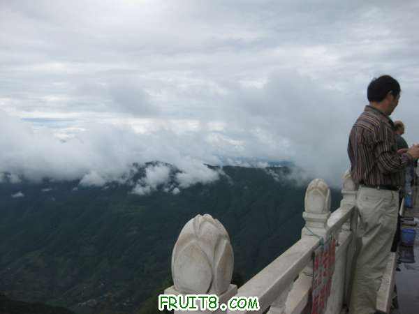 Ƭ 024.jpg