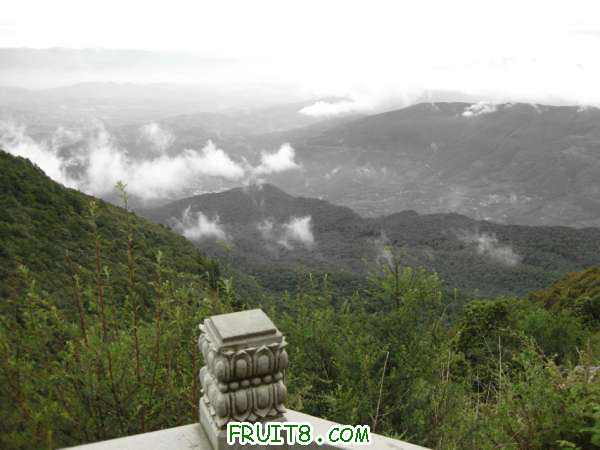 Ƭ 008.jpg