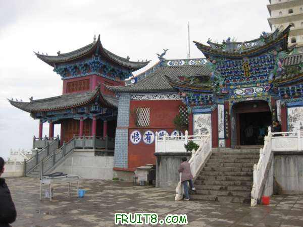 Ƭ 023.jpg