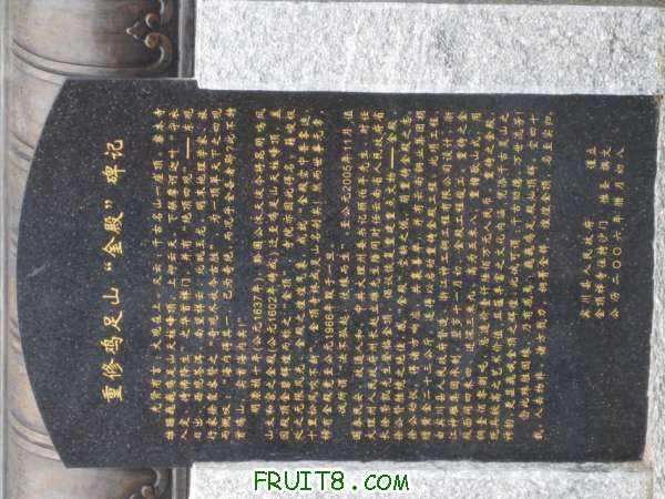 Ƭ 038.jpg