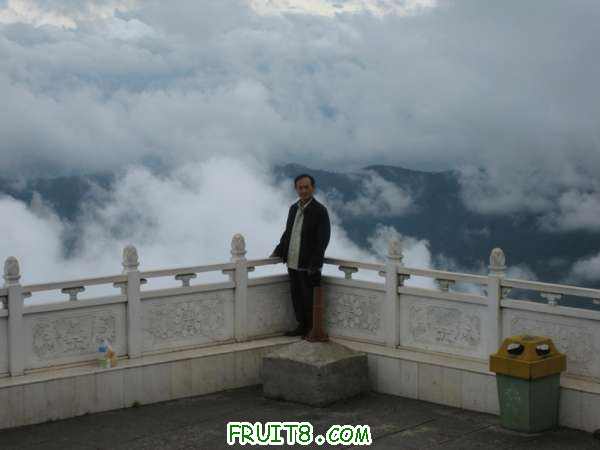 Ƭ 059.jpg