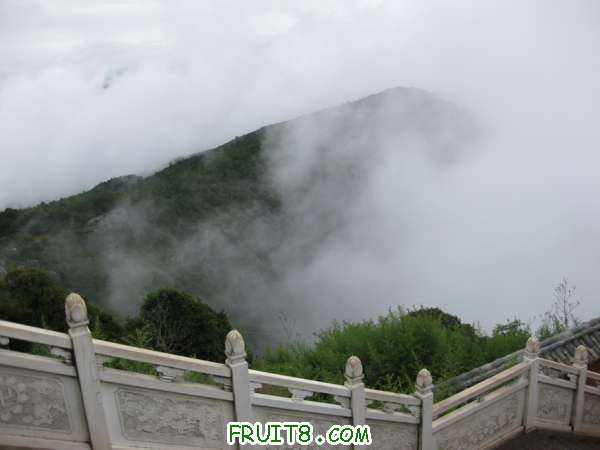 Ƭ 070.jpg
