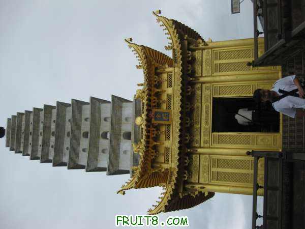 Ƭ 036.jpg