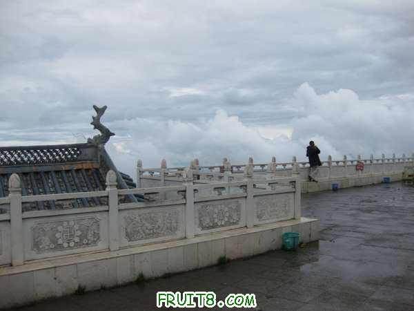 Ƭ 069.jpg