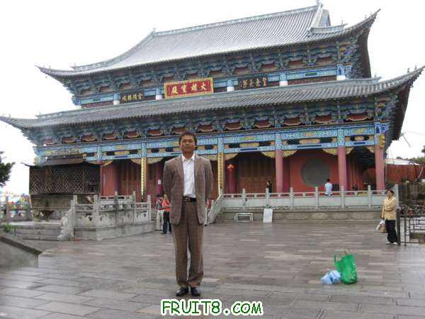 Ƭ 054.jpg