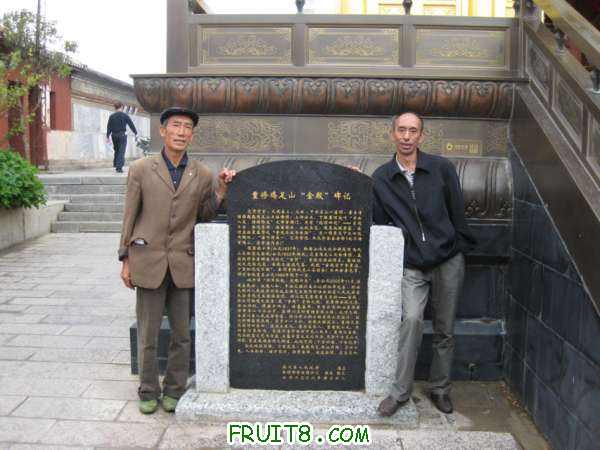 Ƭ 033.jpg