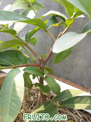YP0387.jpg