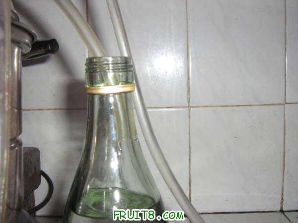 Table_IMG_0100.jpg
