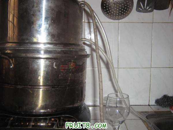 Table_IMG_0096.jpg