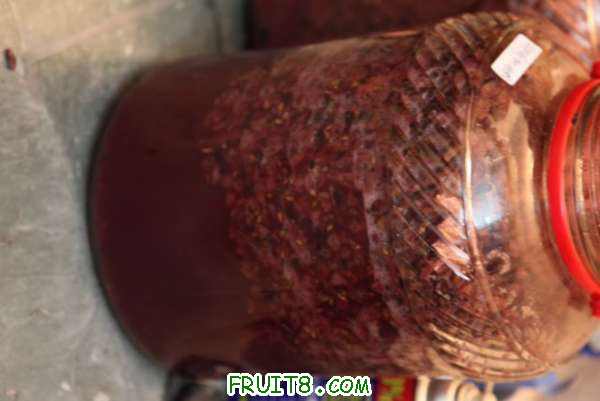 IMG_8445_640x427.jpg