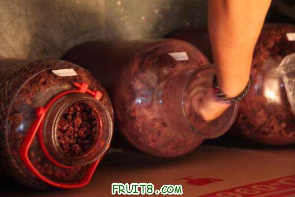 IMG_8437_640x427.jpg